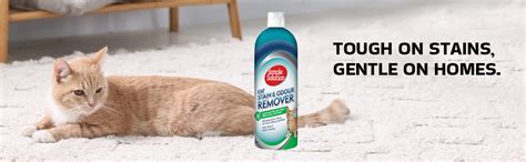 Simple Solution, Vet's Best Cat Stain and Odor Remover 1000 Ml : Amazon ...