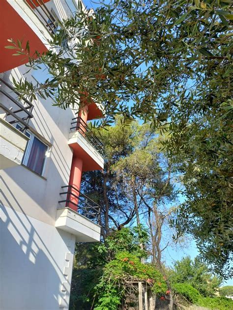 GUESTHOUSE ALBION (Golem, Durres County) - Lodge Reviews, Photos, Rate ...