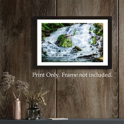 Nature Wall Decor 的图像结果