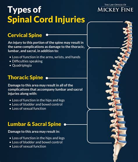 Spinal Cord Injury Types