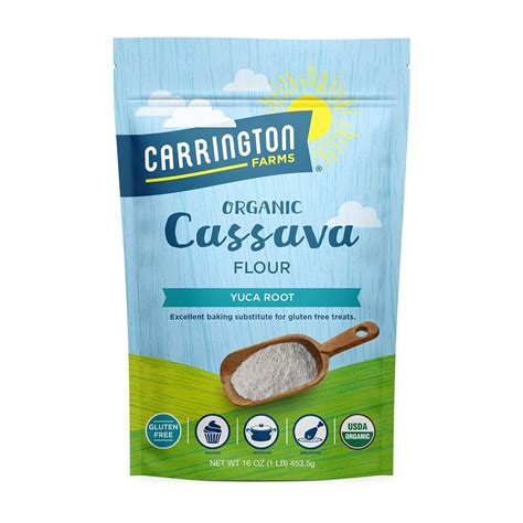 Buy Carrington Farms Organic Cassava Flour – GRAIN FREE – GLUTEN FREE ...