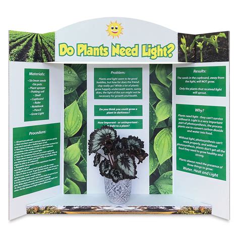 Royal Brites Stage-It Trifold Project Display Board | BLICK Art ...