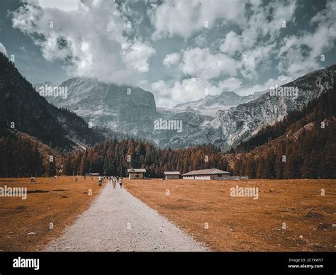 Image result for JavaScript Code Background
