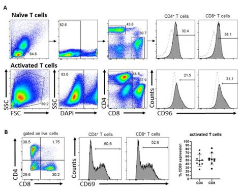 An Inhibitory Role for Human CD96 Endodomain in T Cell Anti-Tumor Responses