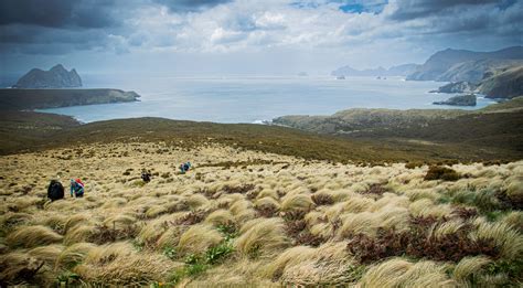 WILD 的图像结果