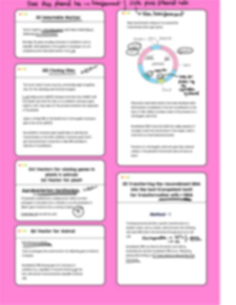 Biotechnology Flowchart 的图像结果