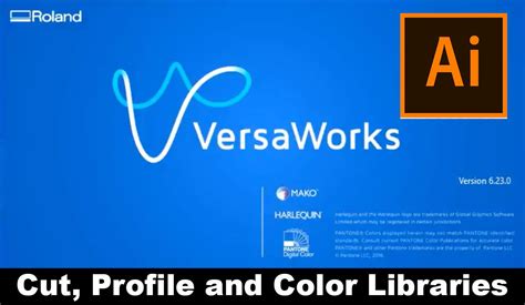 Image result for Roland VersaWorks Perf Cut SignLab