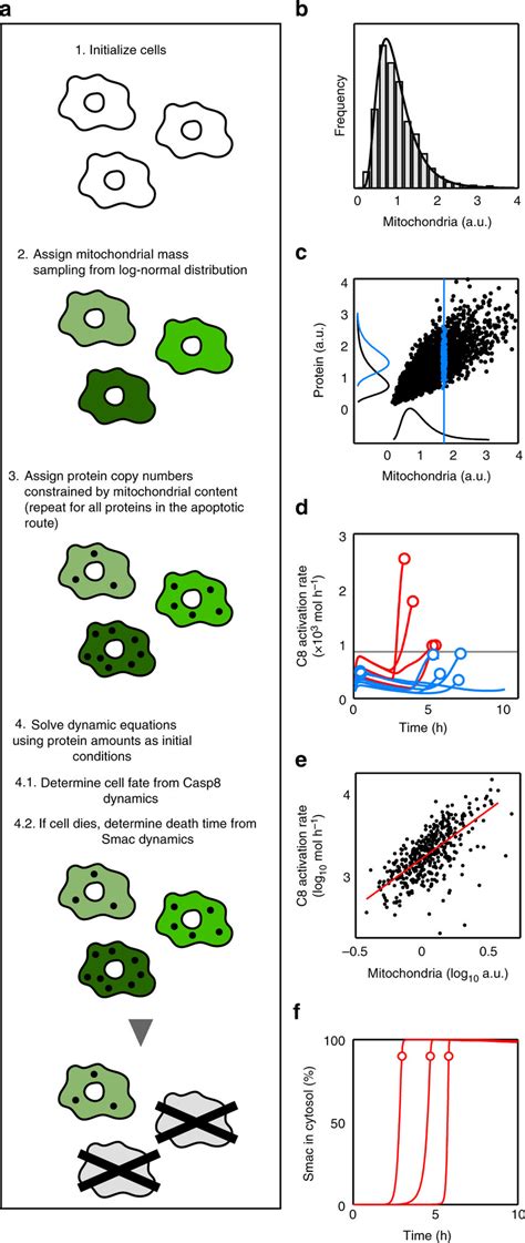 Image result for Computational Model Workflow