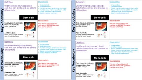 Stem Cells Free Science Lessons 的图像结果