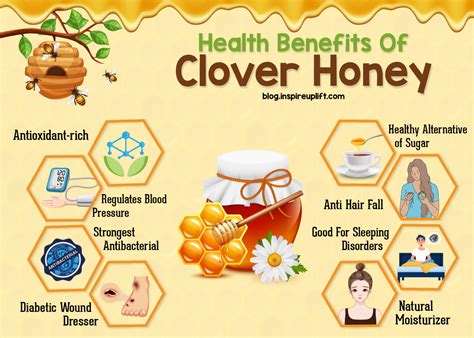 7 Reasons Why Clover Honey Is The Only Honey You Need