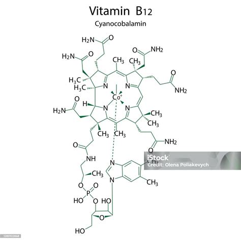 Formula Vitamin B12 Datar Untuk Desain Medis Ilustrasi Untuk Desain Medis Struktur Molekul ...