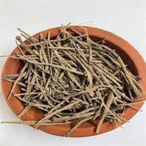 Akarkara Irani in Herbs | zaimboo by Sanskriti Bazaar Reaching up to ...