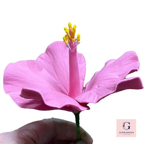 Fondant Hibiscus Flower Tutorial 的图像结果
