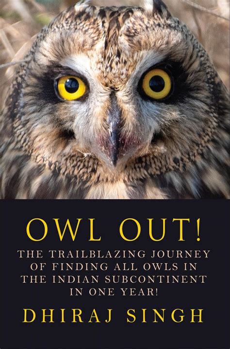 Buy Owl Out!: The Trailblazing Journey of Finding All Owls in the ...