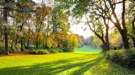 秋天的公园,太阳,树林,草地,4K风景壁纸-千叶网