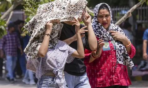Hottest day of 2025 in Delhi: ‘Feels-like’ temperature hits 49°C; IMD ...