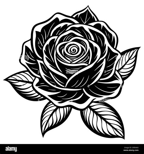 Rose Black Color Silhouette and Flat Rose Flower icon Elegant Vector ...