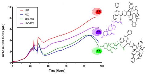 Synthesis and Biological Investigation of Bile Acid-Paclitaxel Hybrids