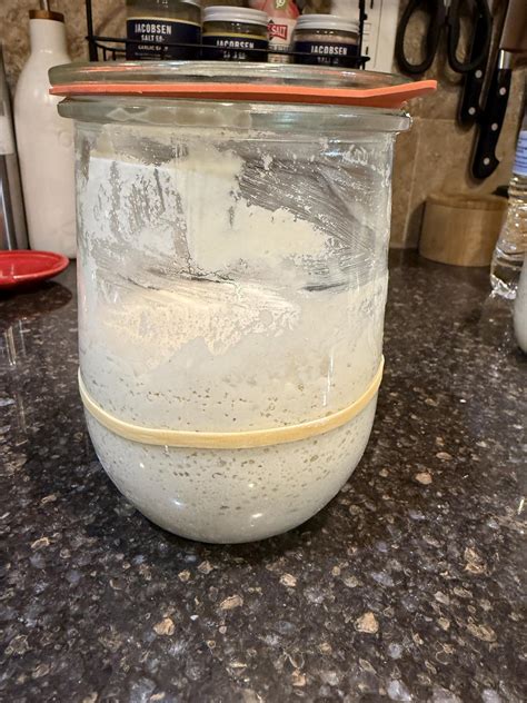 Gluten Free Sourdough Starter Recipe - Lynn's Kitchen Adventures