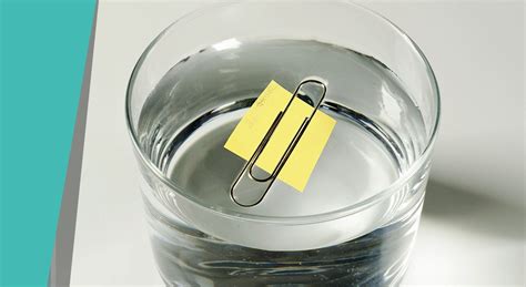 Image result for Paper Clip Experiment