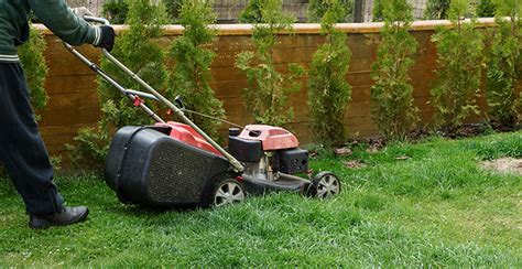 Come scegliere il tosaerba migliore per il tuo prato  
