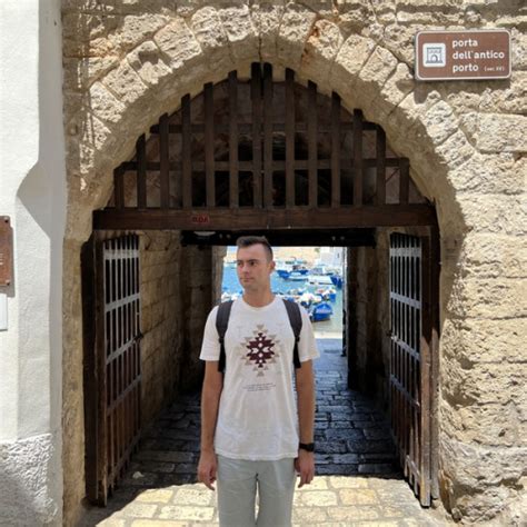 Darius Ciprian - Computer programming teacher - ₹1815/h