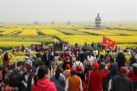 泰州属于江苏省哪个市（江苏泰州行政区划） - 生活 - 布条百科