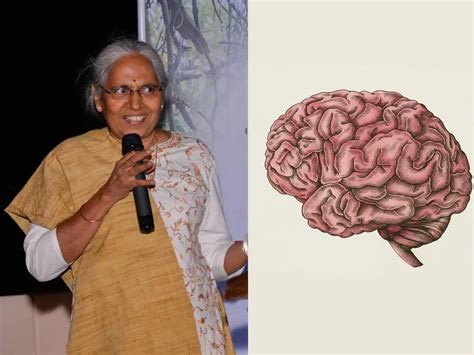 Indians Have The Smallest Brain In The World, Reveals New Study At IIT ...