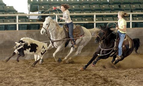 Image result for Team Roping.com