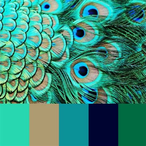 Image result for Pet Sim X Script Tutorial