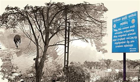 சென்னை - அயனாவரம் மெட்ரோ குடிநீர் வழித்தடத்தில் தேங்கும் கழிவுநீர் ...