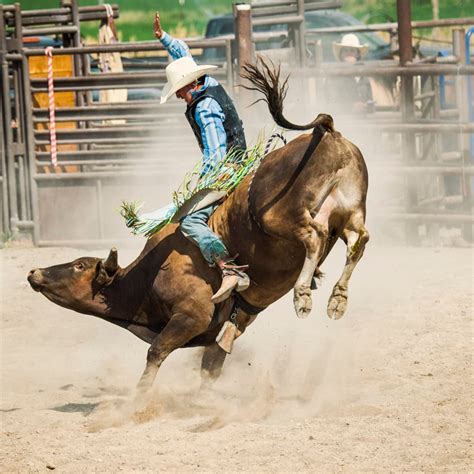 Franklin Rodeo at Williamson County AG Expo Park, Williamson County AG ...