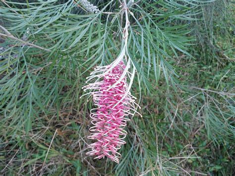 Arcadia Park - Visit Newcastle