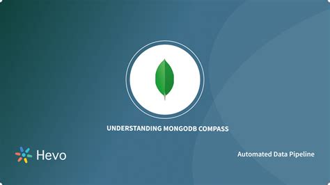 Image result for MongoDB Compass Logo