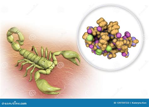 Deathstalker Scorpion And Molecule Of Scorpion Chlorotoxin Royalty-Free Cartoon | CartoonDealer ...