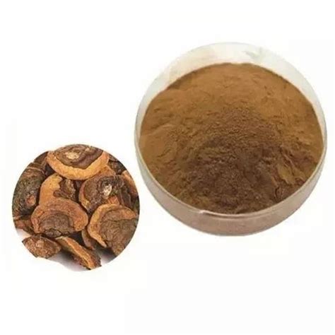 Fungi Extracts - Reishi Mushroom Extract Powder Manufacturer from Pune
