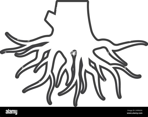 Tree roots Stock Vector Images - Alamy