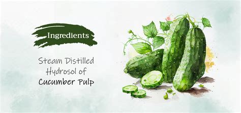 Tattvalogy Cucumber Water: The Ultimate Puffy Skin Solution