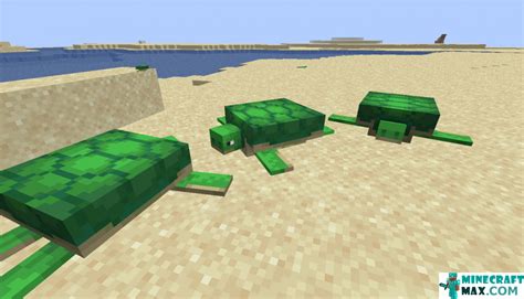 Turtle Tutorial Minecraft 的图像结果