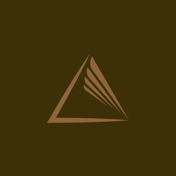 Triangle wing logo delta fly logo | Premium Vector