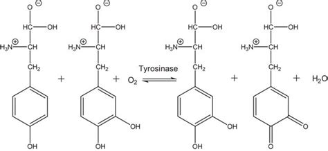 エッペンドルフ® セーフロック微量遠心チューブ volume 1.5 mL, natural | Sigma-Aldrich