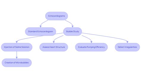 Understanding Echocardiograms with Bubble Study: A Complete Guide