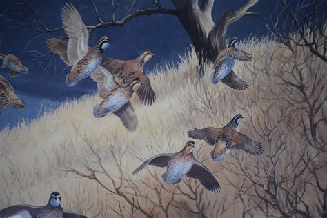 Covey Of Quail 1979 REECE, Maynard (SOLD)