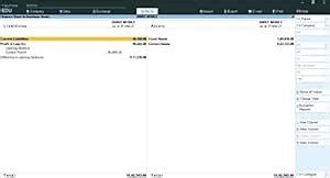 Expand all levels of Balance Sheet and P&L Report - Tally Add-On (E ...