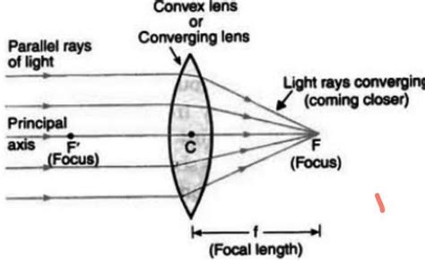 3. How can you get converging and diverging lights? Explain your answer ...