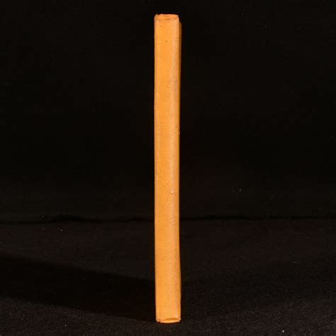 Society Aesthetic 的图像结果