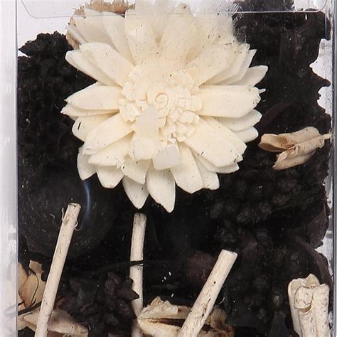 Buy Splendid Scented Potpourri from Home Centre at just INR 149.0