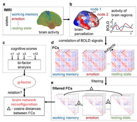 Image result for Workflow of First Level Analysis
