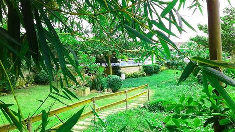 NIPA GARDEN RESORT (Tacloban, Leyte Island) - Cottage Reviews & Photos ...
