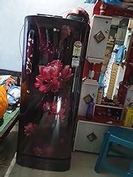 LG 224 L 4 Star Direct-Cool Smart Inverter Compressor Single-Door ...